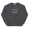 I Survived 2020 Unisex Sweatshirt